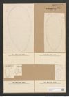 Surirella gemma Ehr. (de-Toni-Nr.: Genus 53, Species 2247) Zeichnungen Sammlung Grunow Nr. 4675 (NHMW-BOT-W0372746)